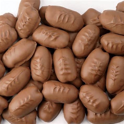 Milk Chocolate Pecans Bag - 1 lb. | Pecan Candy | Priester's Pecans