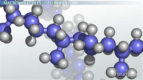 Macromolecules: Definition, Types & Examples - Video & Lesson ...