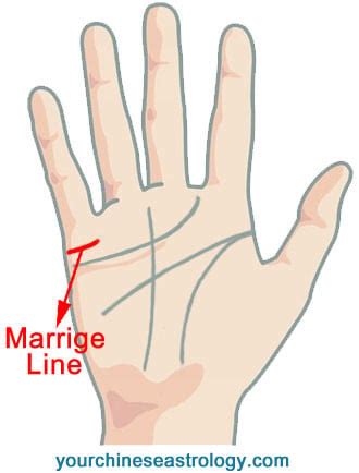 Marriage Line Palm Reading Guide- Chinese Palmistry