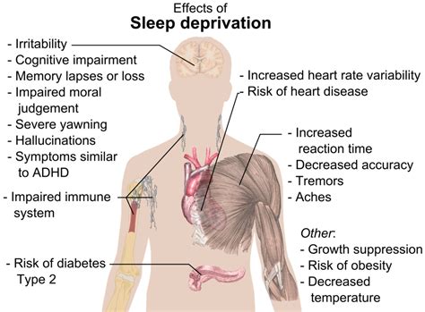 How to Stop Moaning in Sleep | HealDove