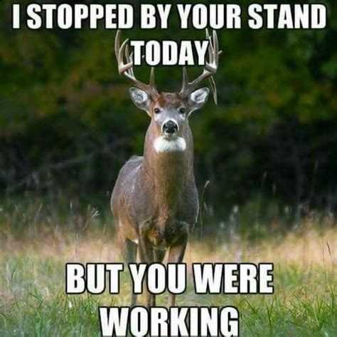 The 20 Best Deer Hunting Memes (So Far) | SayingImages.com | Deer ...