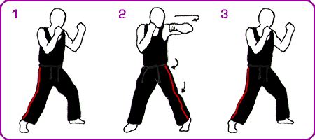 physical-arts.com -training - hook punch technique