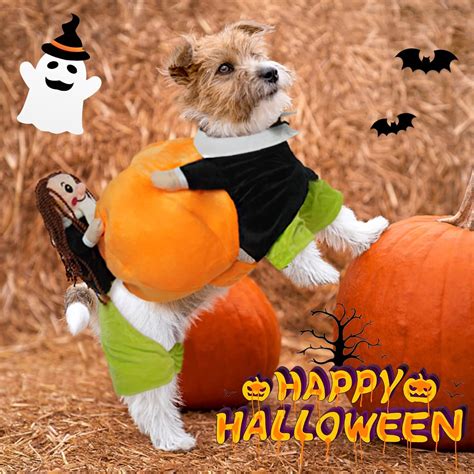 FUAMEY Dog Costumes Pumpkin,Pet Halloween Cosplay Clothes