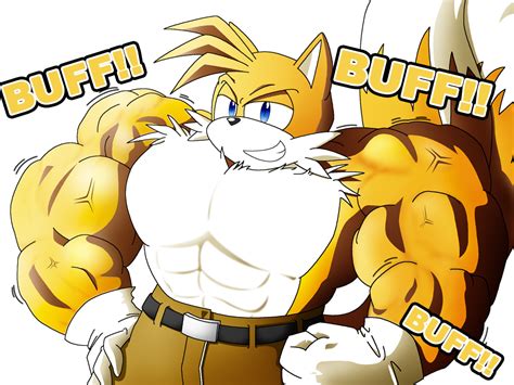 Macho Tails 2 by McKimson on DeviantArt