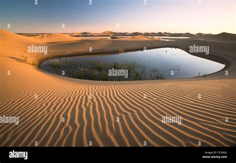 A desert oasis Stock Photo - Alamy