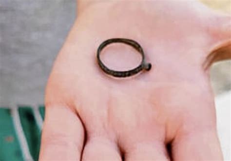 Ancient Roman ring discovered by teenager in Israeli national park | All Israel News