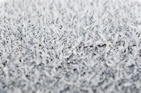 Frost Free Stock Photo - Public Domain Pictures