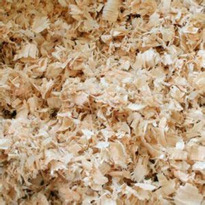 Pine Wood Shavings - Wood Peckers