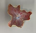 Coral Pink Vase by Debra Steidel (Ceramic Vase) | Artful Home