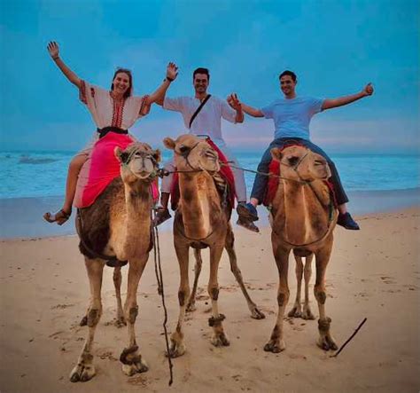 Tangier: Achakar Beach Sunset Camel Ride & Moroccan Dinner | GetYourGuide