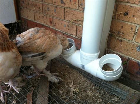 27 Easy PVC Pipe Chicken Feeder DIY Plans