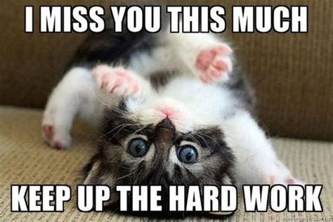 100 of the Best I Miss You Memes To Send To Your Bae | Inspirationfeed