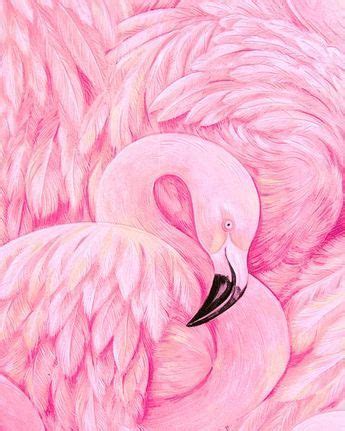 Flamingo Detail | Flamingo art, Wall art canvas painting, Flamingo painting