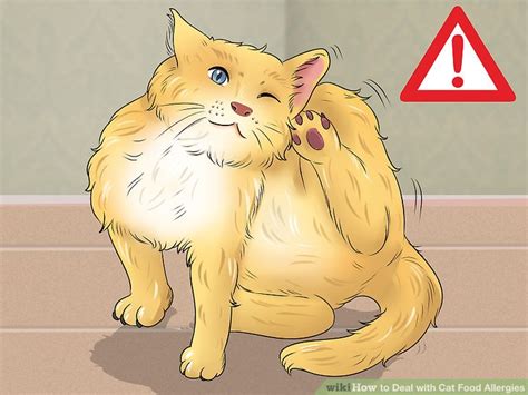 How to Deal with Cat Food Allergies: 9 Steps (with Pictures)