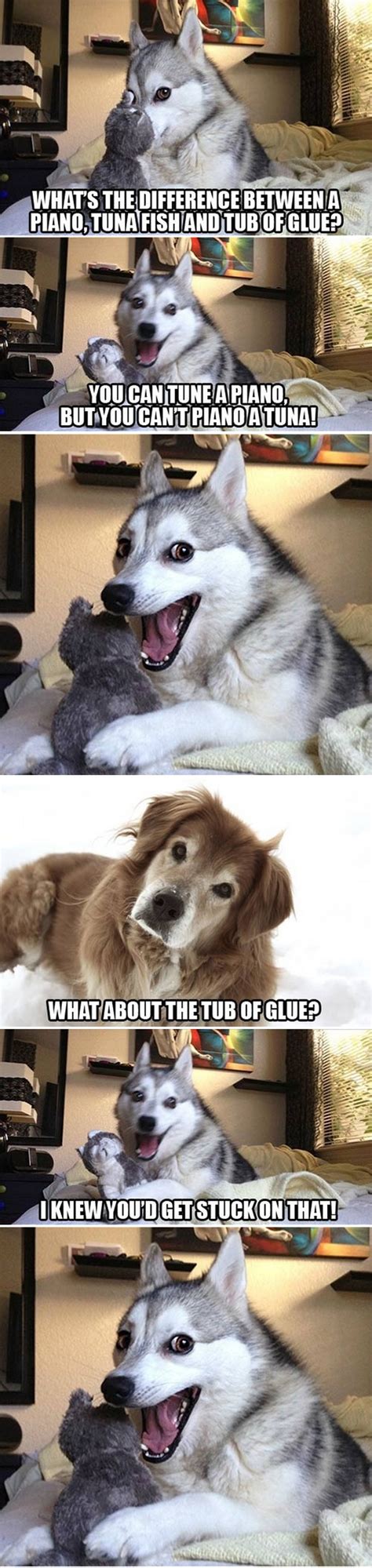 Dog Puns