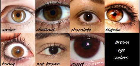 Hi there. I was kinda searching about brown shades of eye colors. There ...