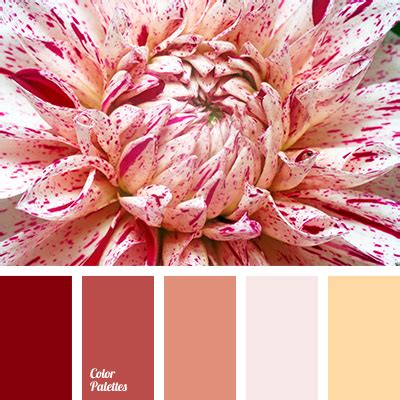 gentle shades of beige | Color Palette Ideas