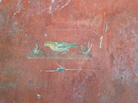 Frescoes villa Poppaea