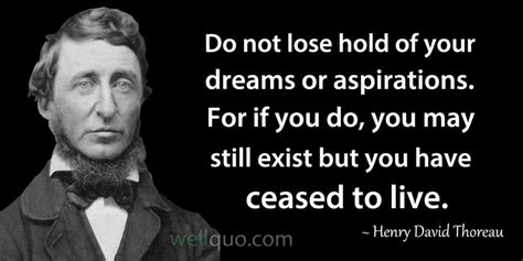 Henry David Thoreau Quotes - Well Quo