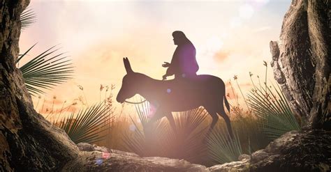 What Is the Importance of the Triumphal Entry? - Bible Study