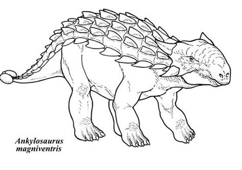 Ankylosaurus, : Ankylosaurus Magniventris Coloring Page | Dinosaur pictures, Dinosaur coloring ...