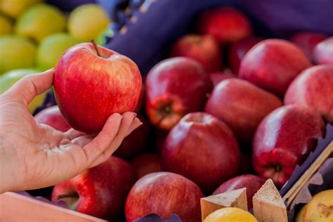 The Rich Diversity of Indian Apples: A Journey Through Unique Apple Varieties - The Farm Life