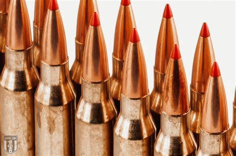 338 Lapua vs 50 BMG - Long Range Cartridge Comparison