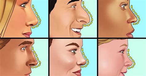 Discover Your Nose Shape