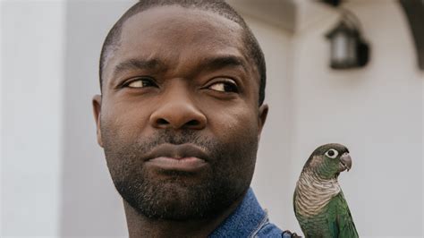 David Oyelowo Fights for Representation in Family Films - The New York ...