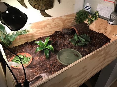 Proud of my new diy tortoise enclosure for my baby girl – Artofit