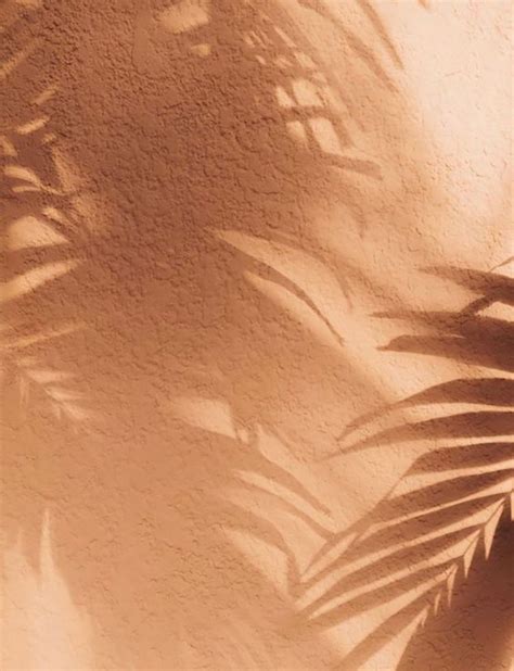 Shadow Play | Erika Carlock Blog | Aesthetic backgrounds, Peach aesthetic, Brown aesthetic