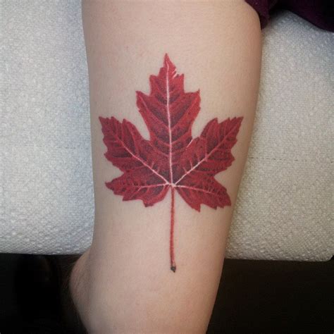 Pin by Carol Troughton on tattoos | Tattoos with meaning, Maple leaf ...