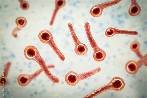 Clostridium tetani bacteria Stock Illustration | Adobe Stock