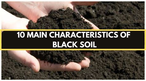 Black Soil | Black soil, Soil, Types of soil