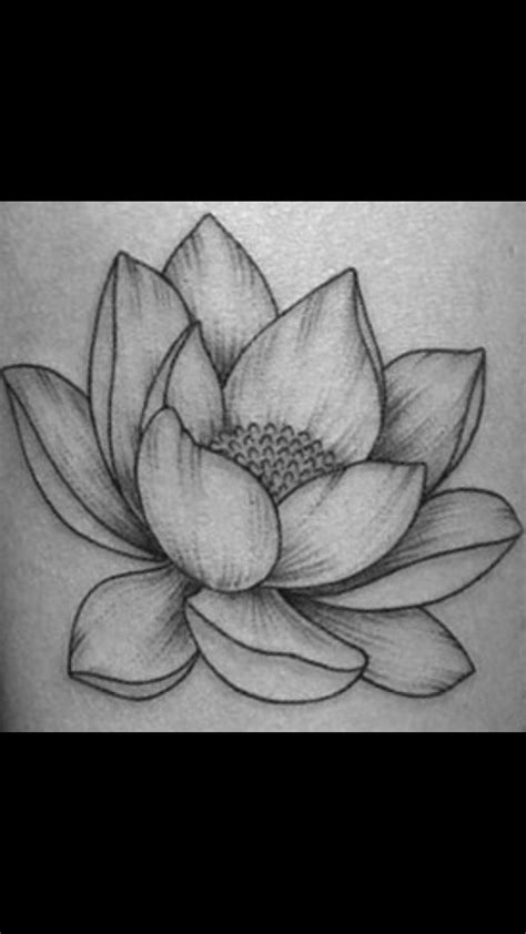 Lotus flower drawing (With images) | Lotus flower drawing, Realistic flower drawing, Lotus drawing