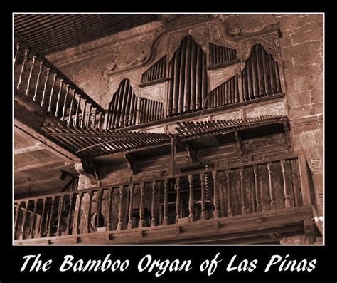 The Bamboo Organ of Las Pinas | Flickr - Photo Sharing!