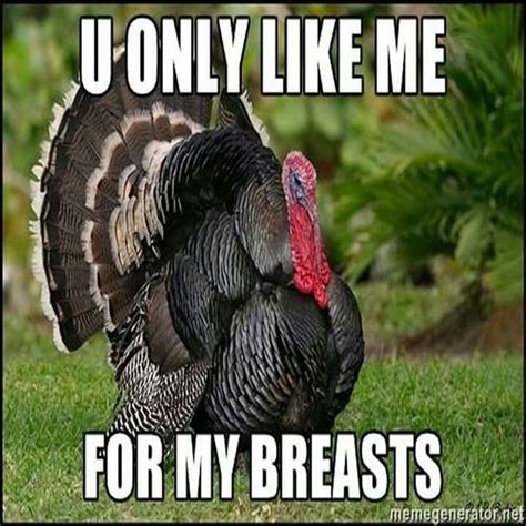 Pin by Kevin on Turkey Hunting | Funny turkey pictures, Funny thanksgiving memes, Funny turkey