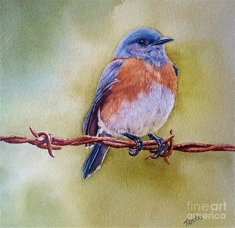 Eastern Bluebird Painting at PaintingValley.com | Explore collection of Eastern Bluebird Painting