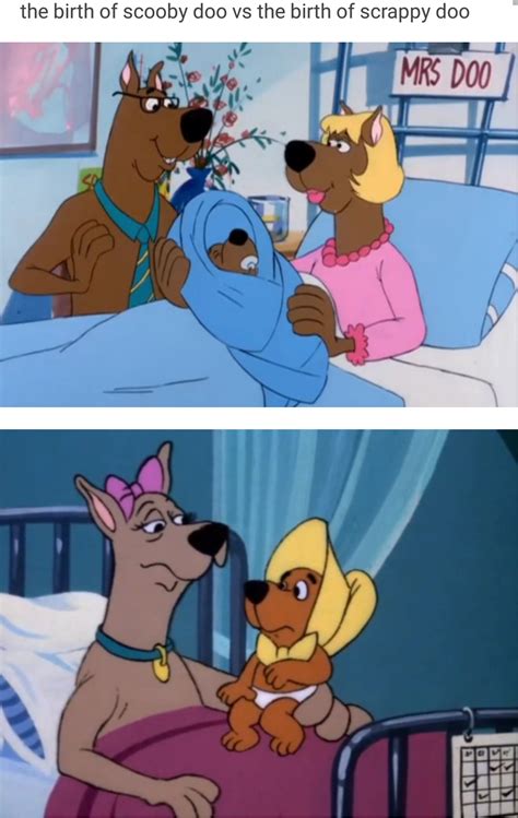 Welp, this explains a lot | Scooby-Doo | Really funny memes, Stupid funny memes, Scooby doo