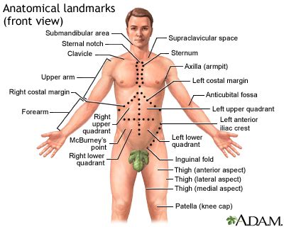 Top 8 what does a cancerous lump in abdomen feel like 2022