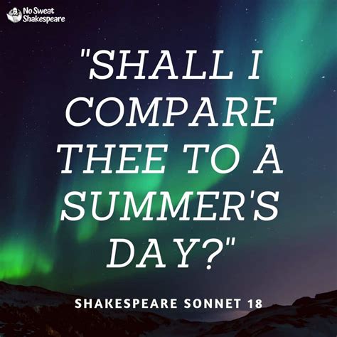 Sonnet Examples: 5 Famous Sonnet Styles Explained ️