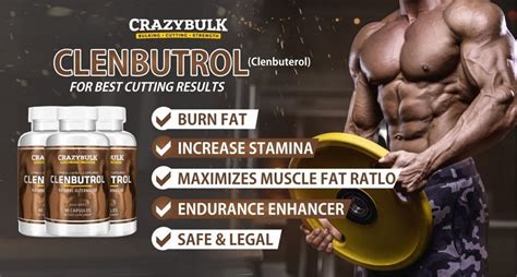 Clenbuterol Before and After Results: Does Clen Burn Fat (3X) Faster?