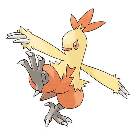 Combusken | Pokédex