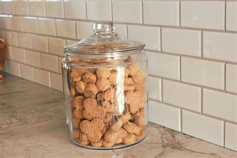 DIY Personalized Dog Treat Jar - Handmade Weekly