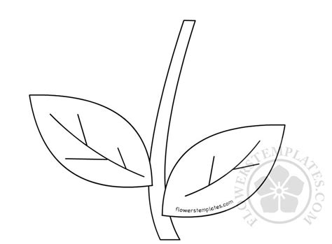 Flower Stem Outline Template | Best Flower Site