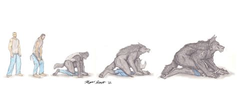 Wolf-Man-24 Transformation Sequence by Kigai-Holt on DeviantArt