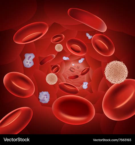 Cartoon of red blood cells Royalty Free Vector Image