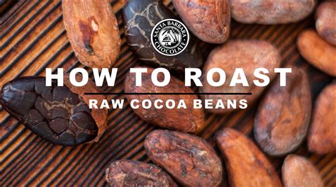 How To Roast Raw Cocoa Beans - Santa Barbara Chocolate