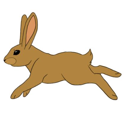 Image result for running bunny gif Rabbit Gif, Rabbit Cartoon, Jump ...