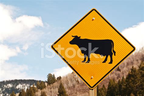 Cattle Crossing Sign Stock Photo | Royalty-Free | FreeImages